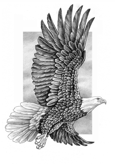 eagle-pencil