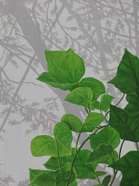 Ivy detail1