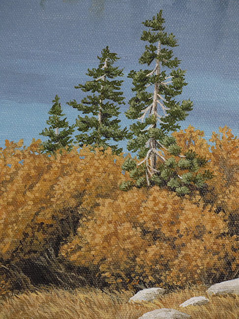Lake detail 2