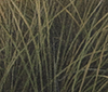 Grass-detail thumb